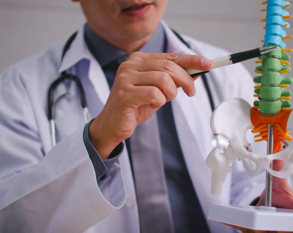 A male doctor explains the physiology of the human body via video call conference.