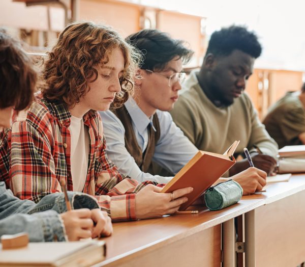 Row of multicultural teenage students of university sitting by desk at lecture