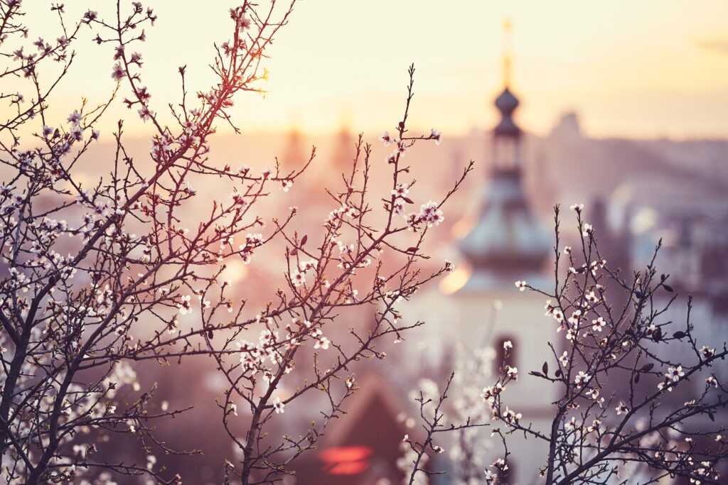 Spring sunrise in Prague