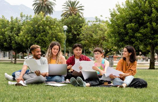 College students working together in the park